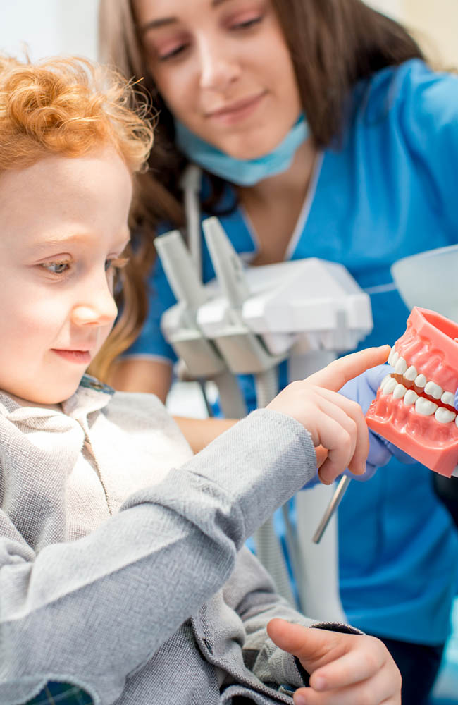 child and dentist with dental model